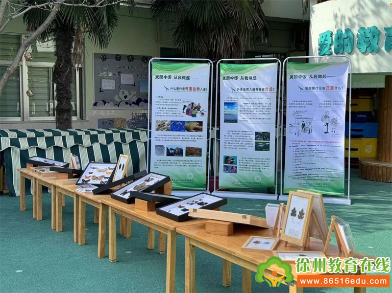 泉山区机关幼儿园：了解生物安全 护卫美丽家园