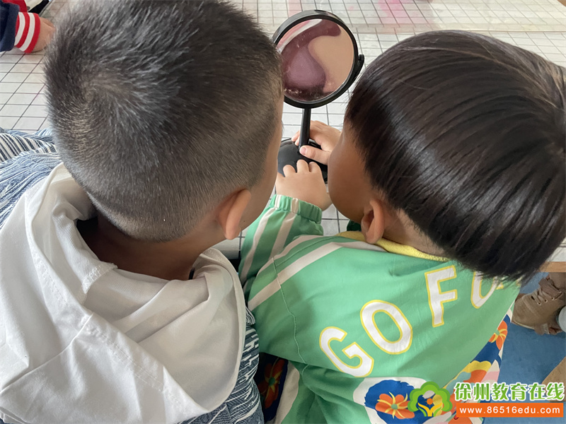 镜子的秘密——单集镇中心幼儿园中一班探索活动