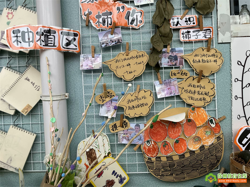 秋日缤纷·遇见自然——徐州市星光实验幼儿园开展自然角观摩活动