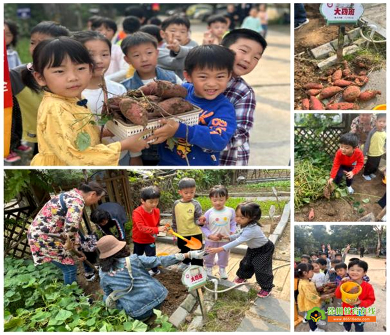 多彩菜园，收获成长——徐州市第二实验幼儿园种植园活动报道