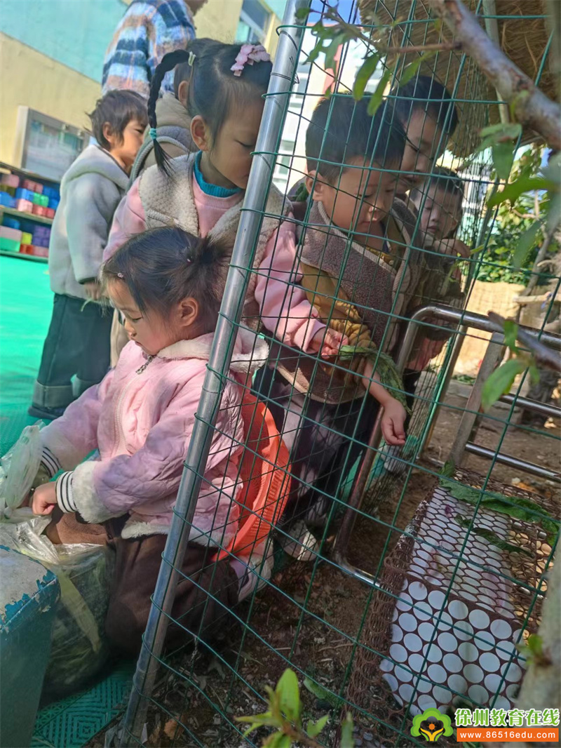 小小饲养区，快乐无限大——单集镇中心幼儿园小二班养殖区活动
