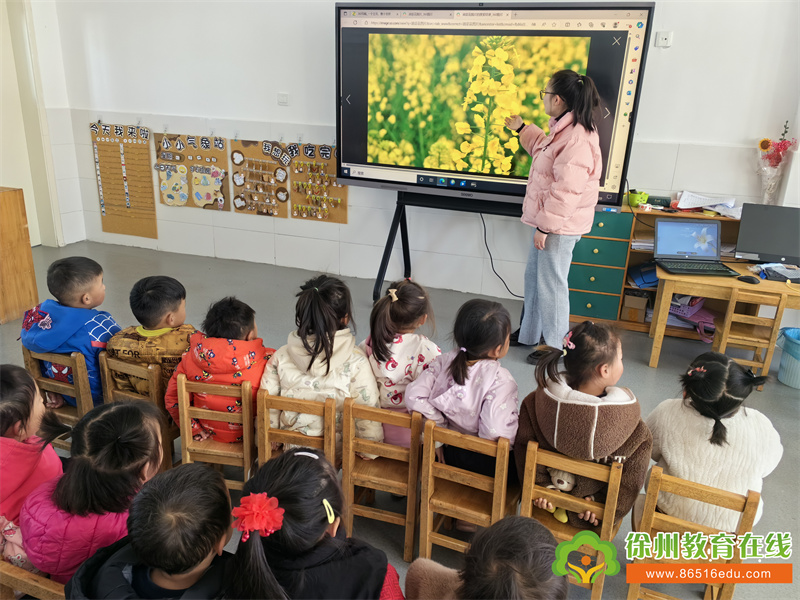 单集镇黄集幼儿园：一画一世界，遇见油菜花
