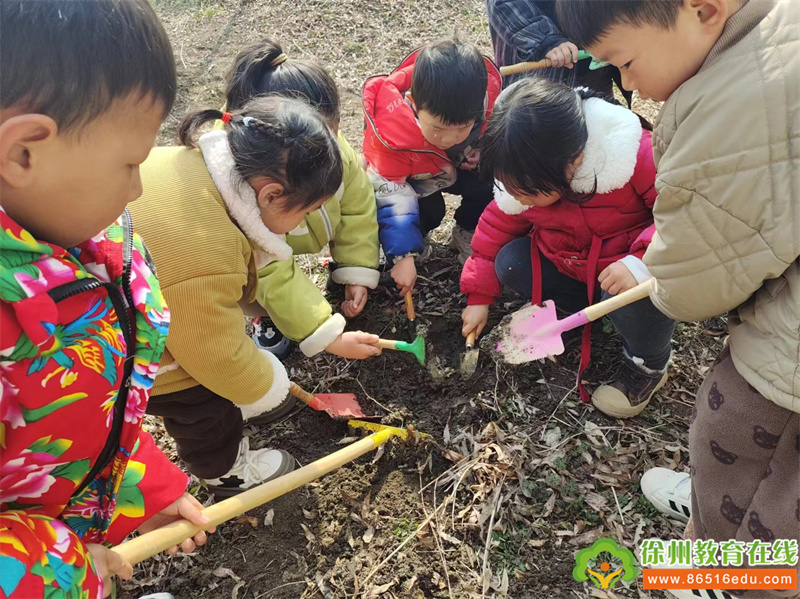 播种绿色 共享蓝天——双塘镇中心幼儿园植树节系列活动
