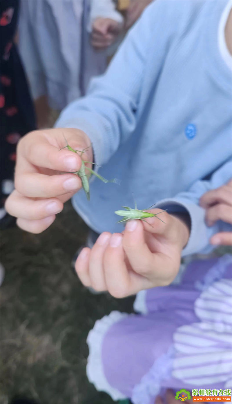 单集镇中心幼儿园：“一惊一蚱”