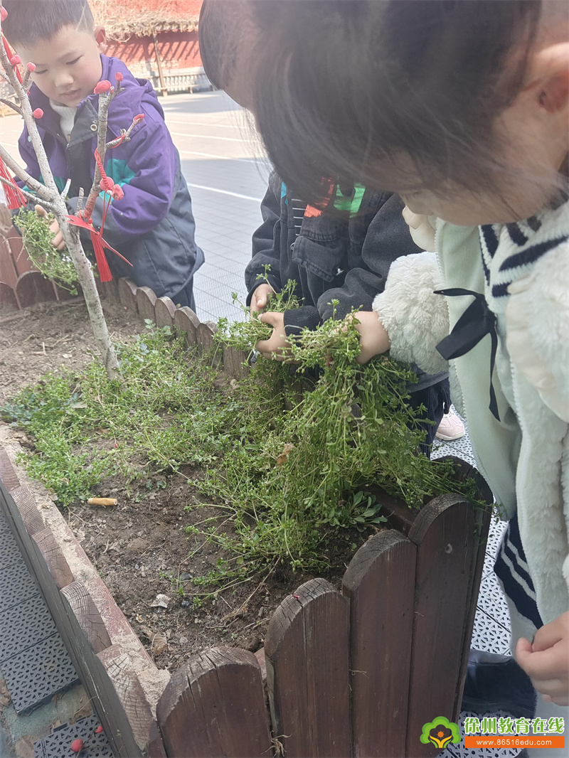 大彭镇中心幼儿园：择一隅净土，种一抹快乐