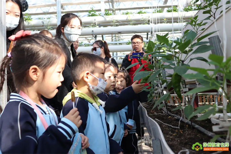 “享秋游之乐，探种植之趣”——人之初教育集团华润幼儿园家园周末游