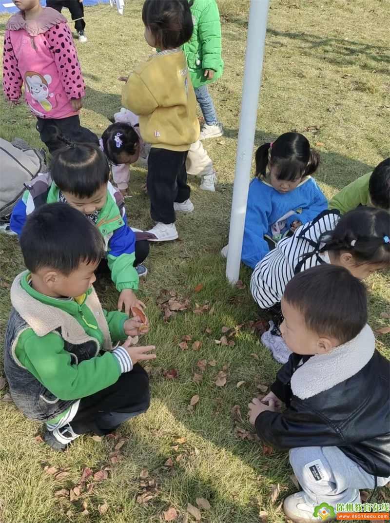 单集镇黄集幼儿园小班落叶?知秋——之［寻秋］