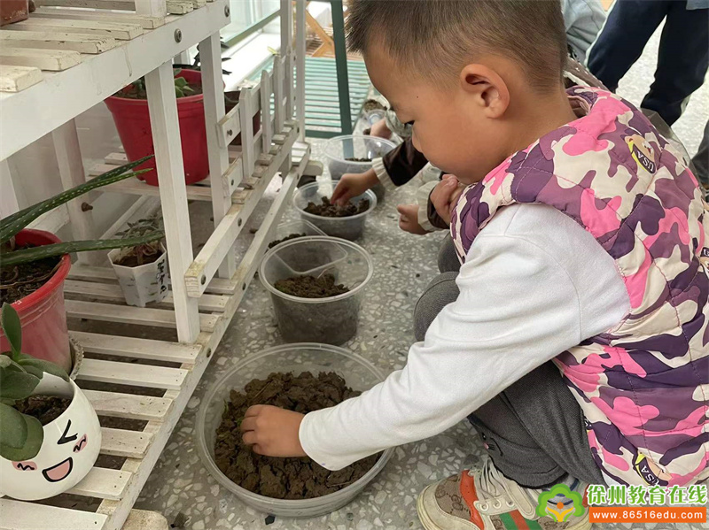 快乐种植，“蒜”你可爱——单集镇贺庄幼儿园中班种植蒜苗活动