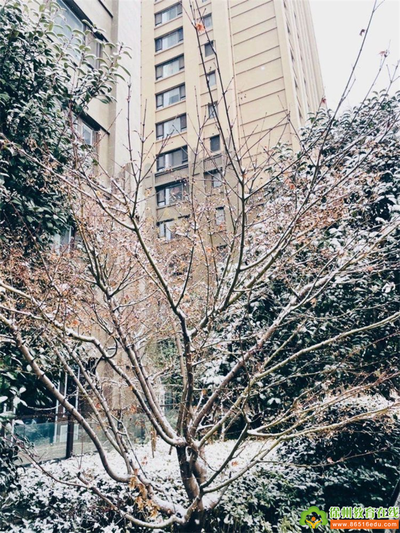 徐州市第二实验幼儿园节气活动｜大雪知冬意 瑞雪兆丰年