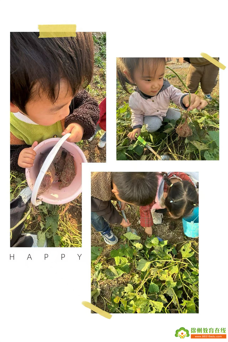 单集镇黄集幼儿园：只“薯与泥”的童年