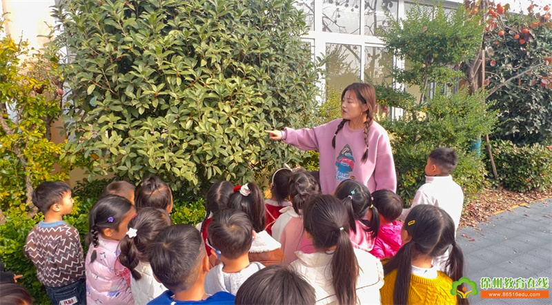 来自大自然的色彩——汴塘镇中心幼儿园中一班自然美育活动探索