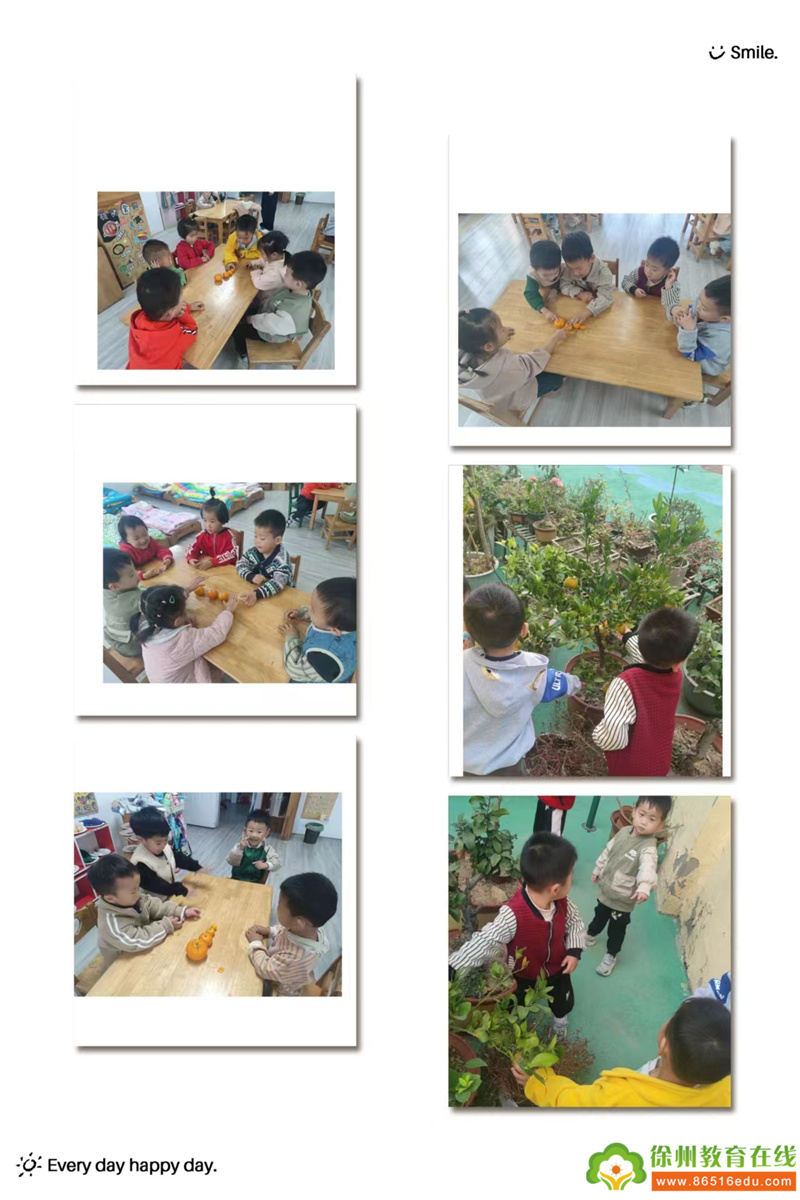 小橘子，大智慧——单集镇中心幼儿园小二班橘子班本课程系列活动