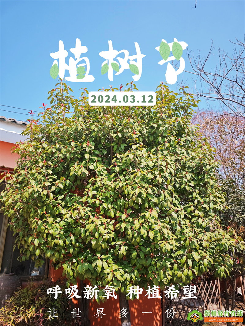 万物春生，“植”的期待——大彭镇程庄幼儿园植树节活动