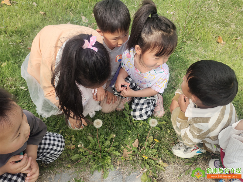 绘出你的蒲公英——单集镇詹湖幼儿园小中班生成课程