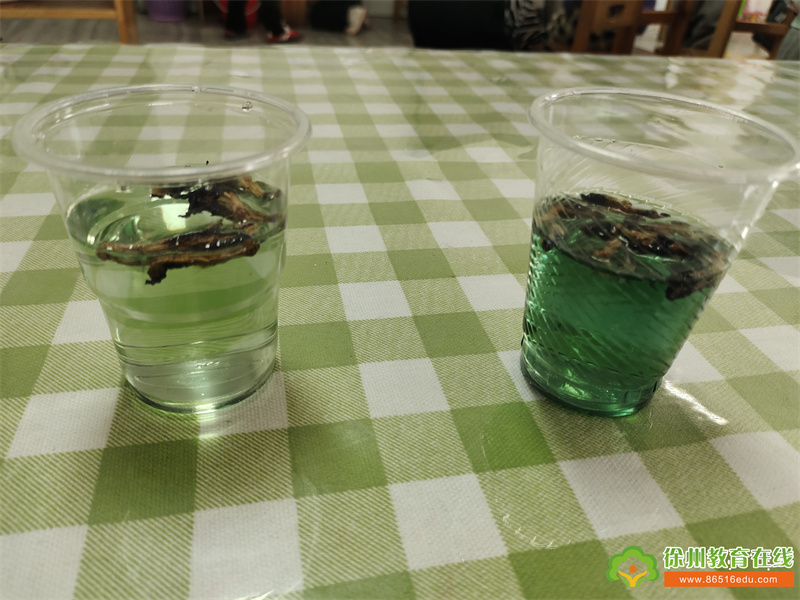 科学小实验，奥秘趣无限——单集镇中心幼儿园小二班趣味科学实验