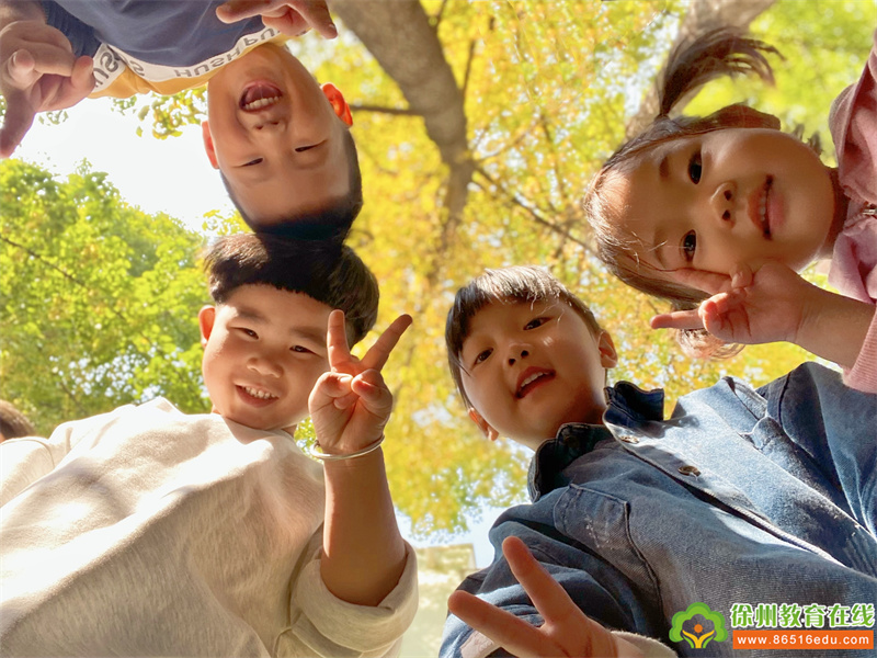 金叶闪闪 抛却流光——泉山区机关幼儿园十月大事记