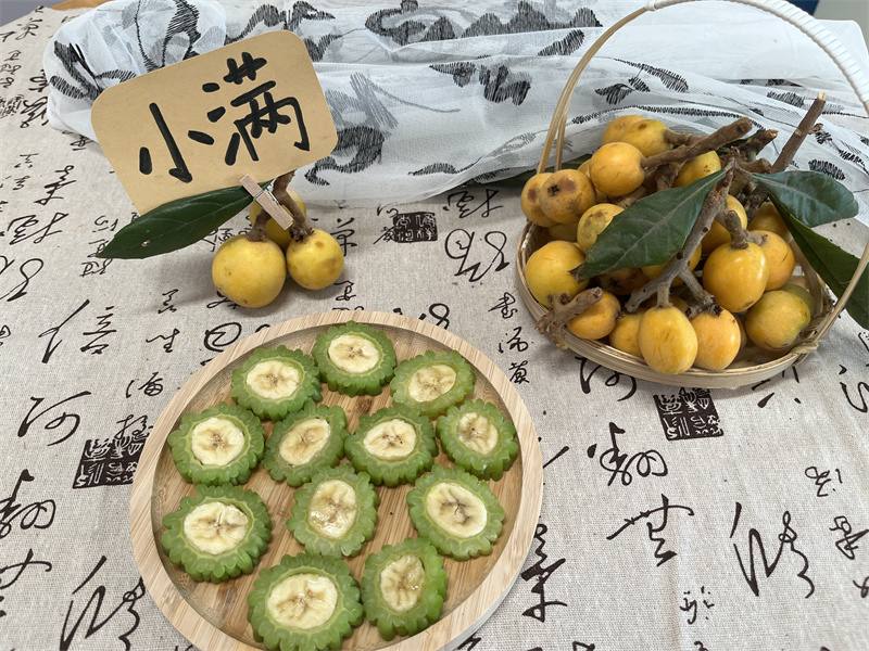 万物小得盈满 美好恰逢其时——徐州市第二实验幼儿园小满节气主题活动