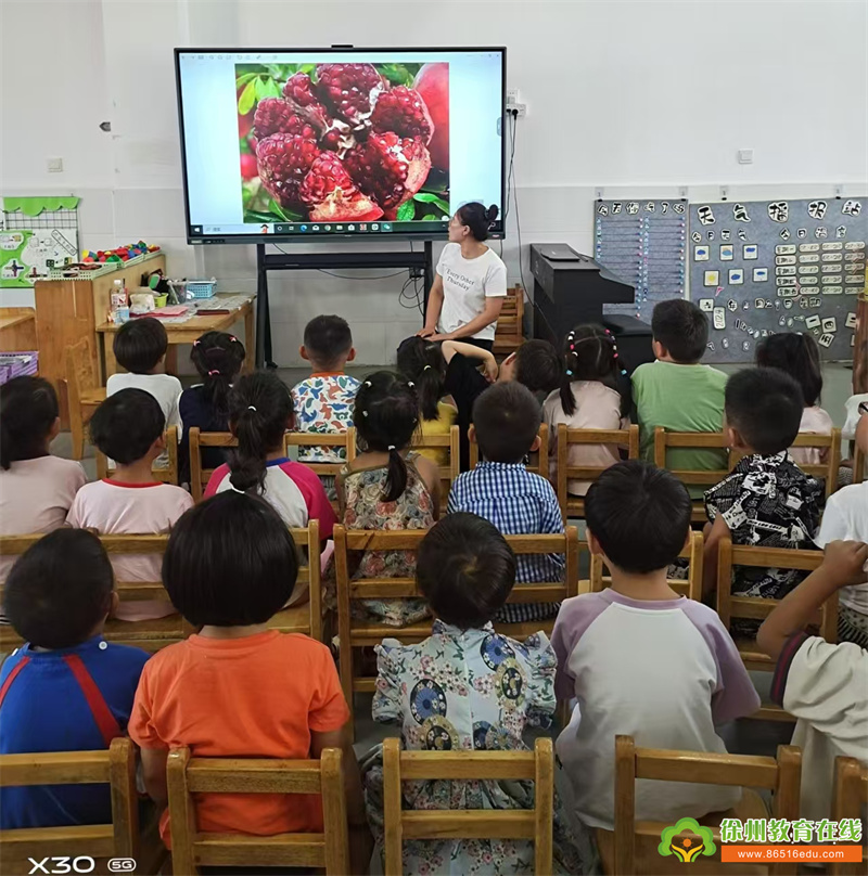 单集镇黄集幼儿园：一“石”兴起，“榴”住你，中班活动《秋天的石榴》