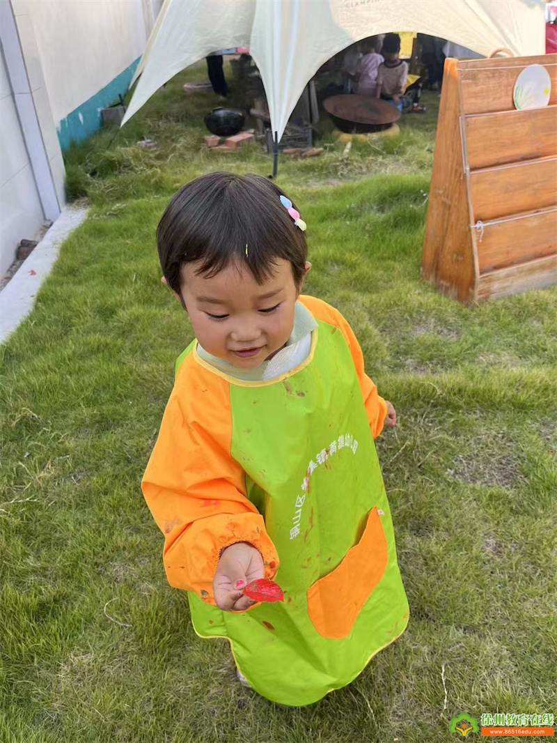 捡拾秋天，记录美好——单集镇黄集幼儿园大班创意手工