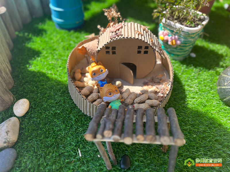 徐州市丁万河幼儿园的美丽小角落（班级自然角、公共区域环境观摩活动）