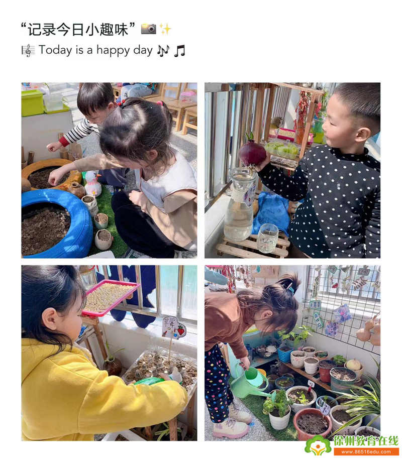 大许镇西探幼儿园|绿色未来，共筑美丽家园