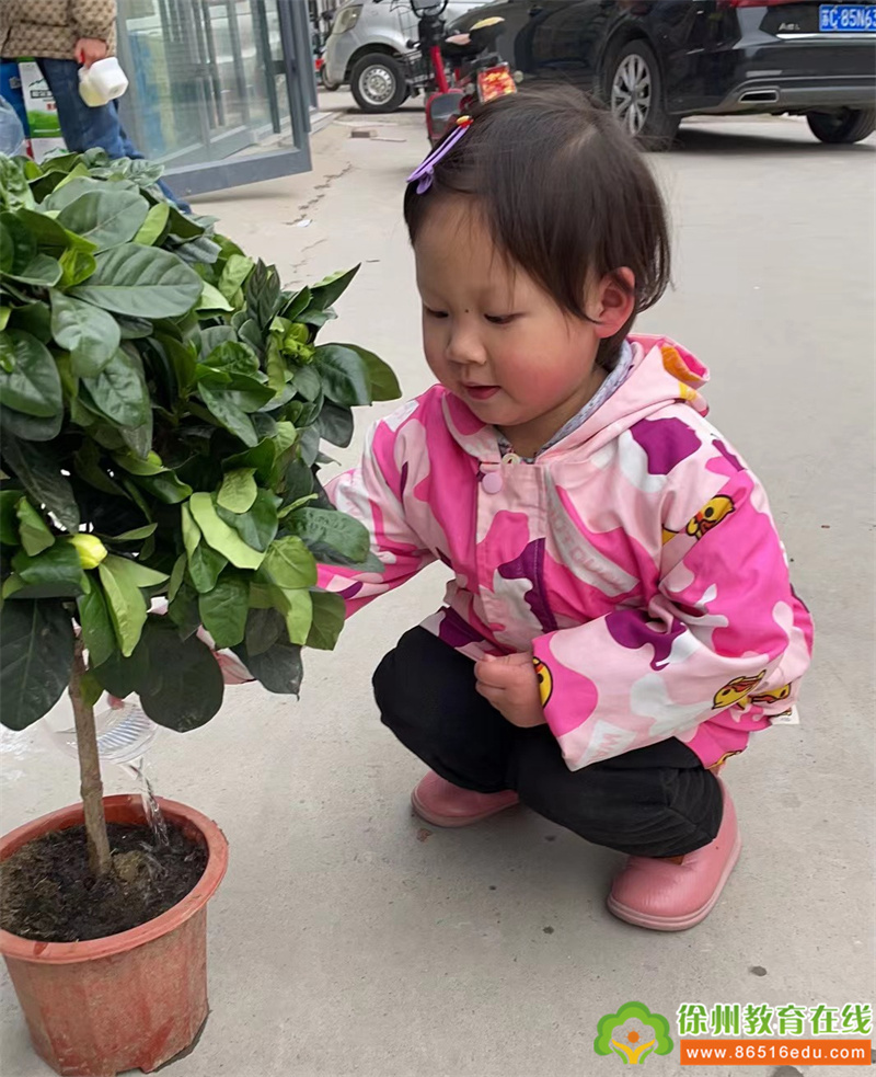 春风十里，不如植树有你——单集镇中心幼儿园小一班