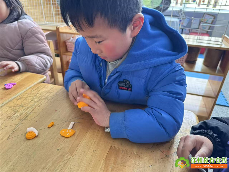 遇惊蛰，觅春天——贺庄幼儿园大班传统文化二十四节气活动之惊蛰