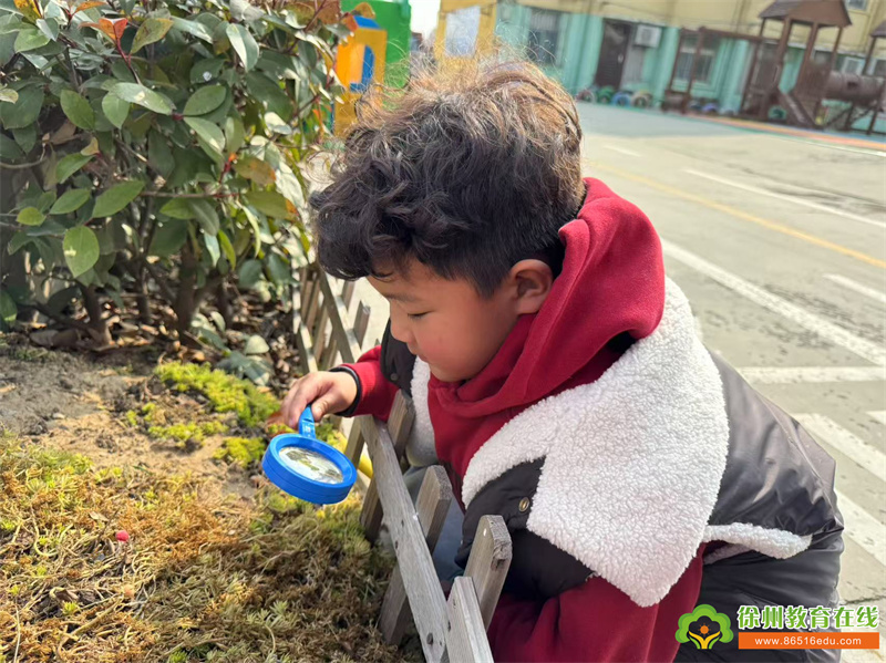 苏山中心幼儿园：春日萌动，邂逅惊蛰