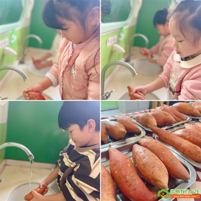 第一实验幼儿园|与你分享烤红薯的香甜