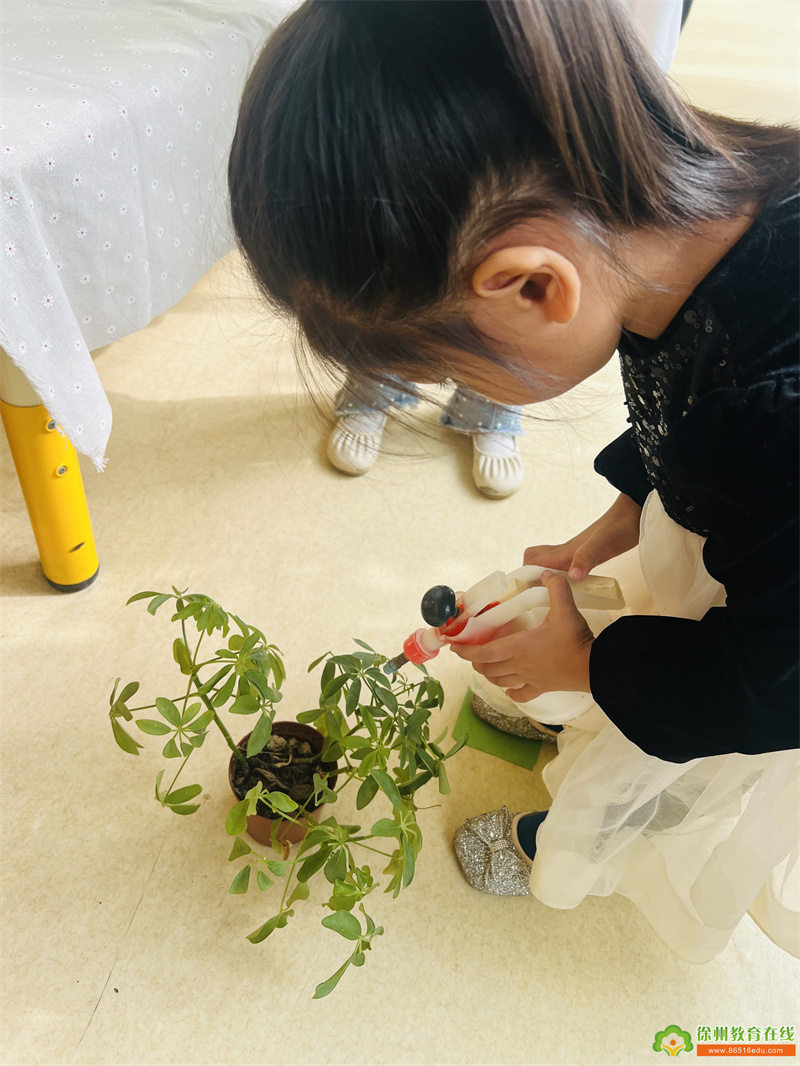 小小值日生，发挥大作用——汴塘镇中心幼儿园日常篇