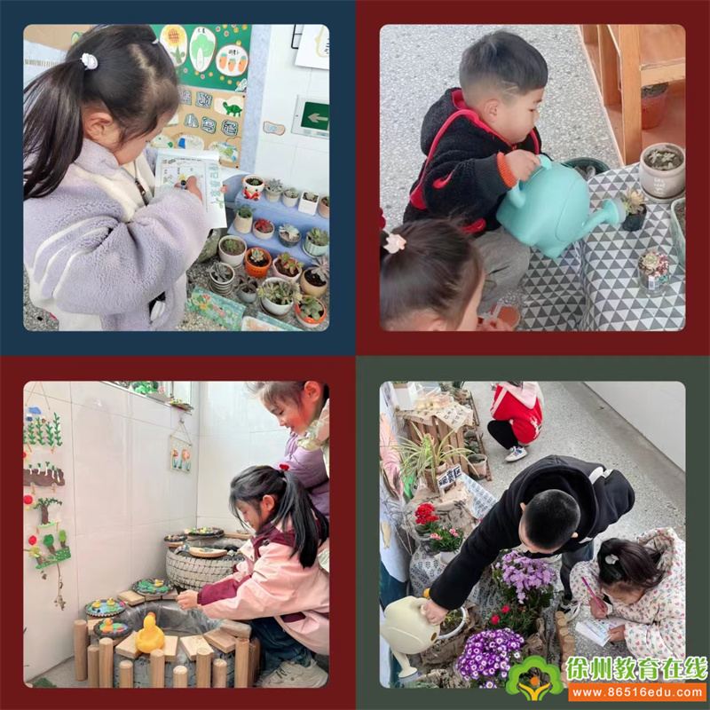 大许镇太山幼儿园： 美在自然 趣在角落