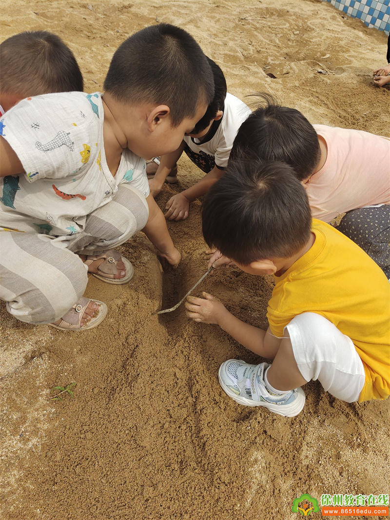 一沙一世界，趣味享不停——单集镇黄集幼儿园“沙池里的快乐”