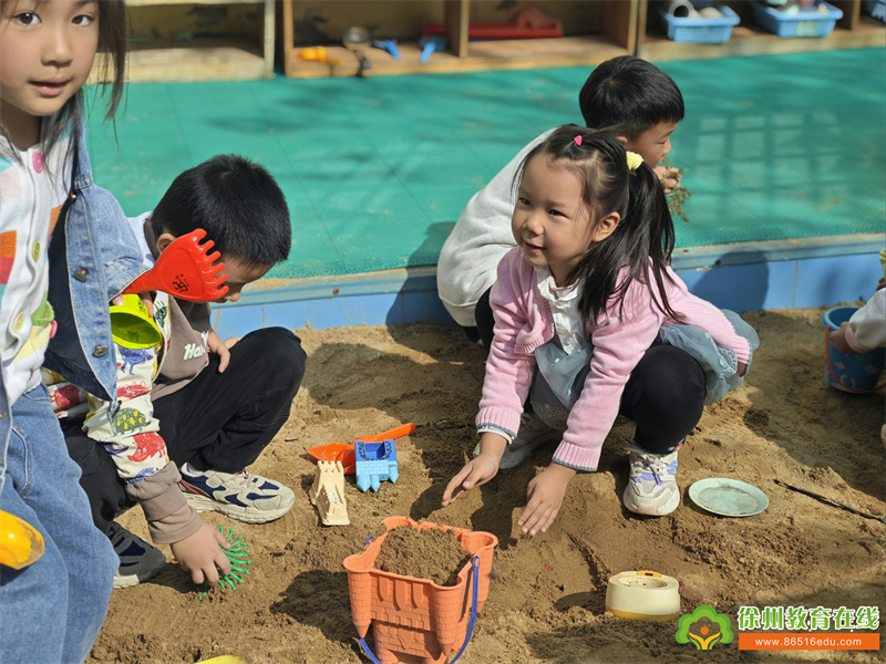 探索中的快乐成长——单集镇中心幼儿园大一班沙池寻宝