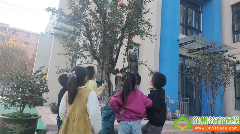 单集镇中心幼儿园：我和石榴的故事