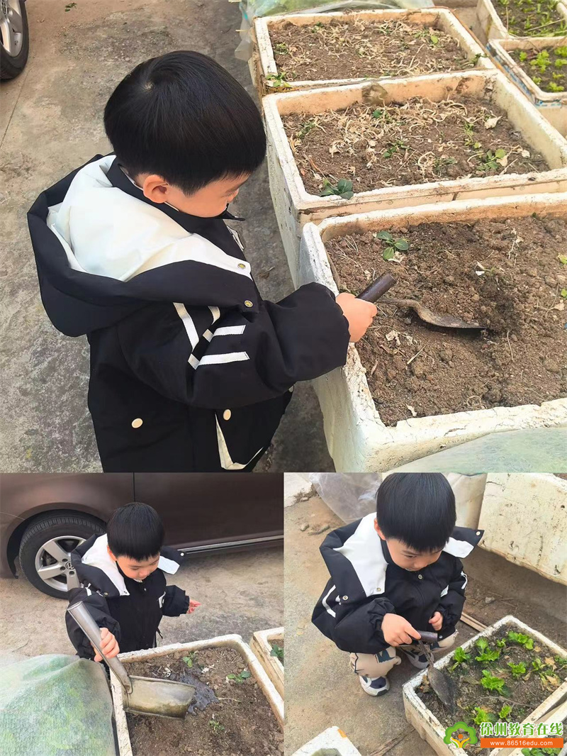 雨水至 万物生——徐州市第二实验幼儿园雨水节气报道