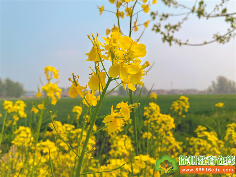 带着绘本“趣”游戏——大许镇太山幼儿园绘本研学活动