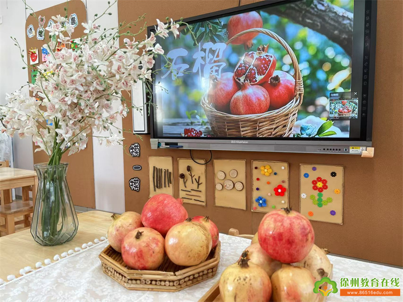 公园巷幼儿园：“石榴”小宝探石榴