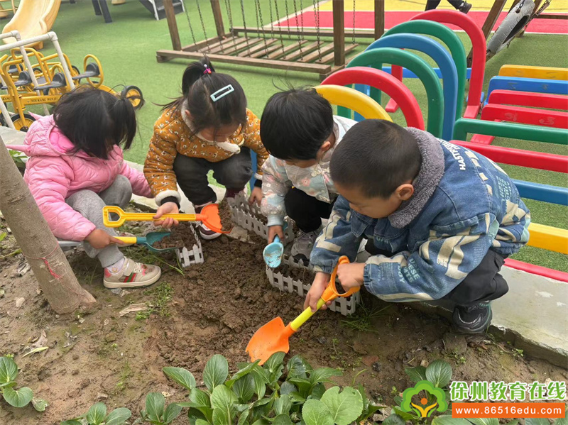 贺庄幼儿园中班种植区活动：小手翻飞，播种希望