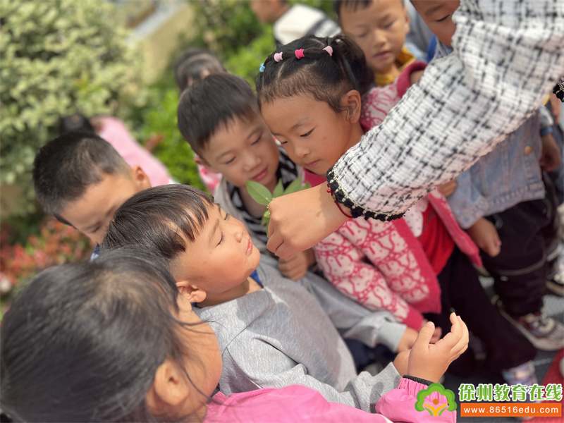 汴塘镇中心幼儿园卓越课程之寻“蜜”桂花