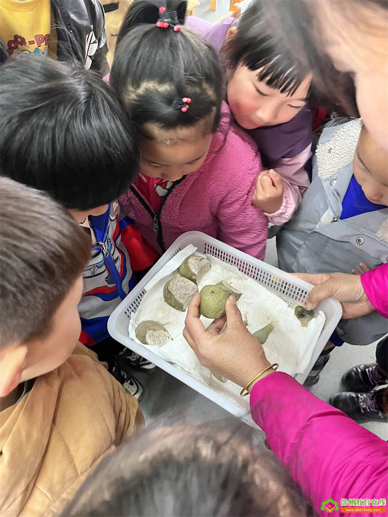 单集镇黄集幼儿园：小小土豆发芽啦！